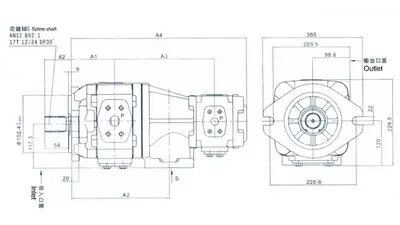 HL21 内啮合齿轮双联泵